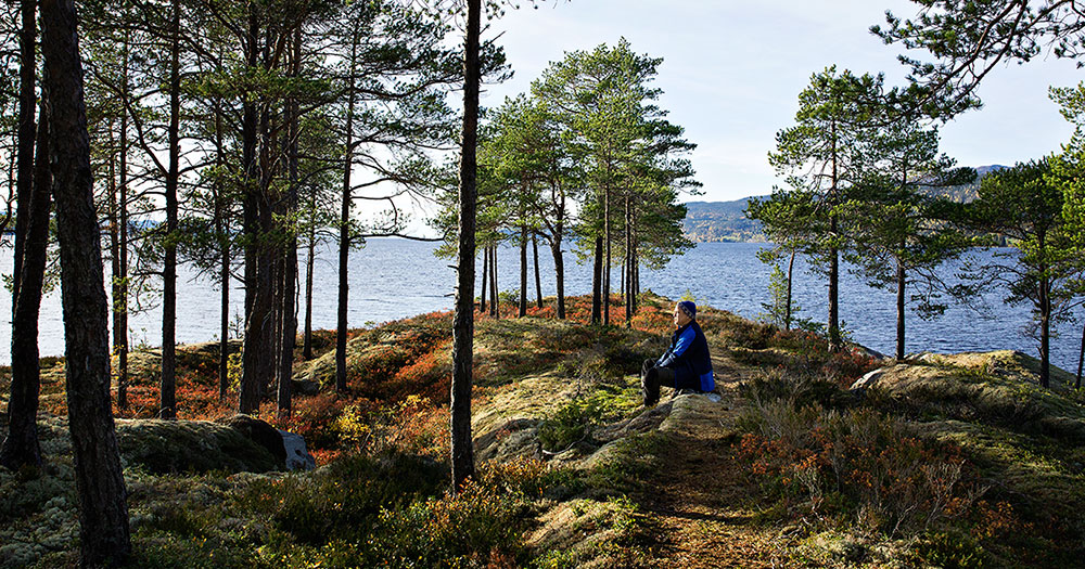 Visjonæren